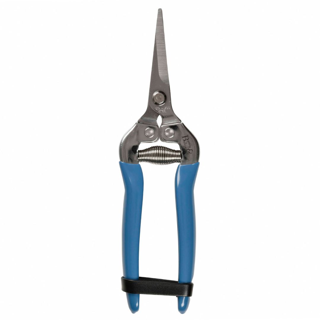 Fruit & Flower Snips – Burgon & Ball – British Meadow